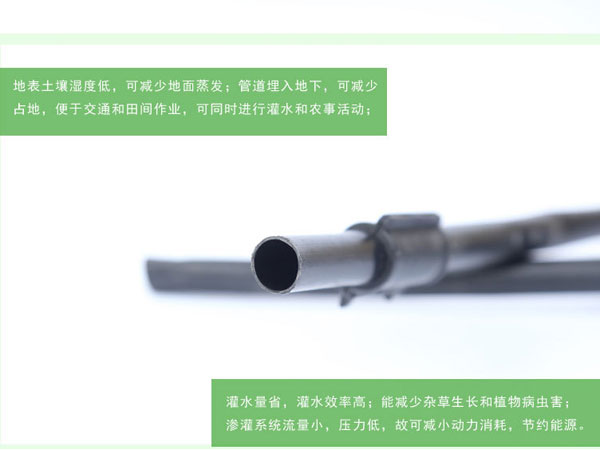 專(zhuān)利地埋式滲灌管