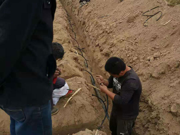 專(zhuān)利地埋式滲灌管