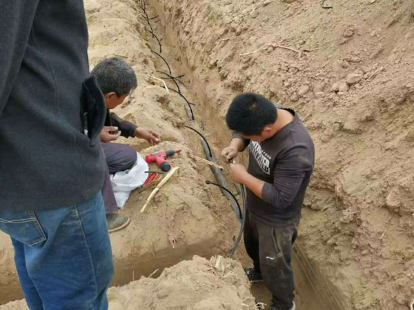 專(zhuān)利地埋式滲灌管