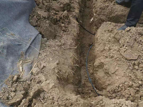 專(zhuān)利地埋式滲灌管