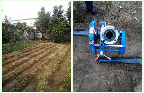 專(zhuān)利地埋式滲灌管