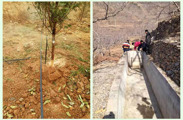 專(zhuān)利地埋式滲灌管