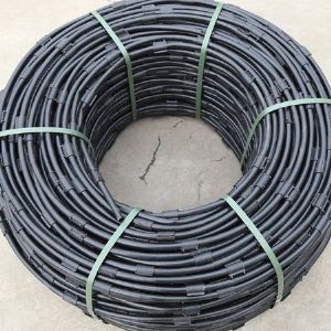 專(zhuān)利地埋式滲灌管