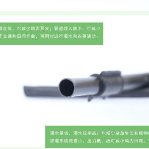 專(zhuān)利地埋式滲灌管