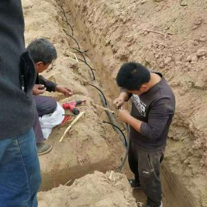 專(zhuān)利地埋式滲灌管