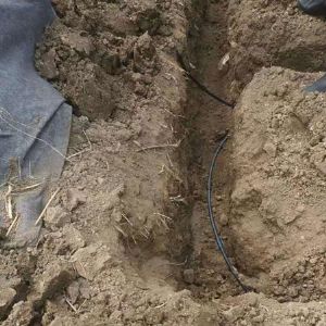 專(zhuān)利地埋式滲灌管