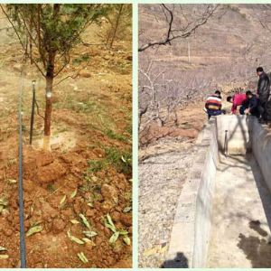 專(zhuān)利地埋式滲灌管